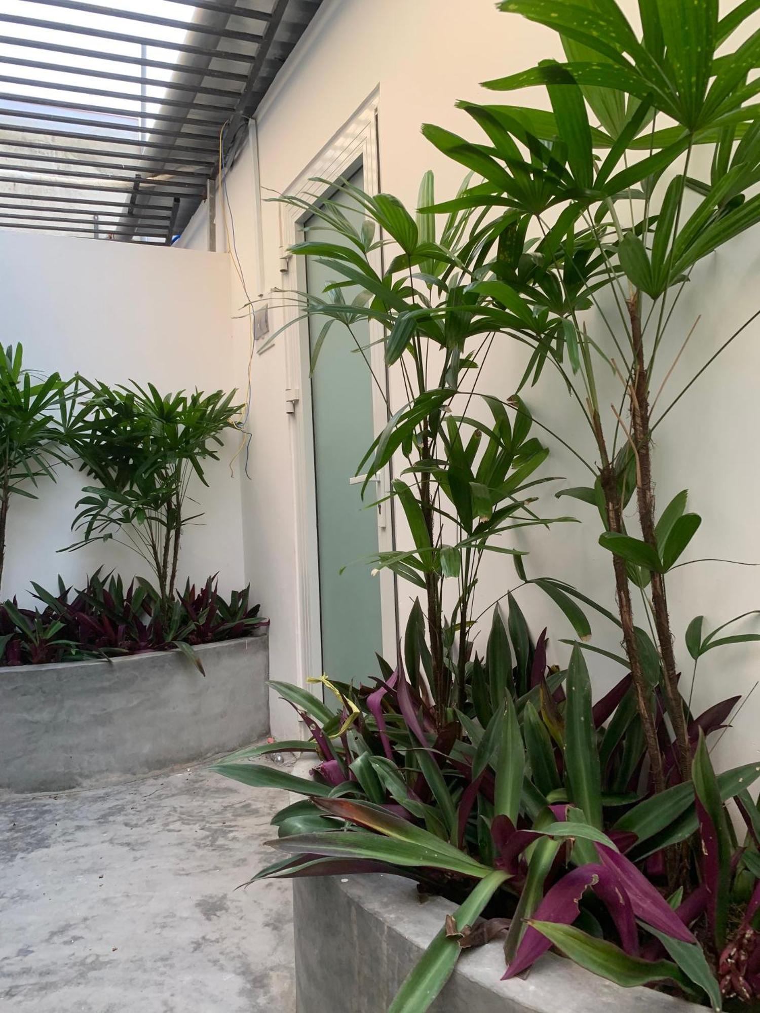 Ts Beach House Phú Quốc Ngoại thất bức ảnh